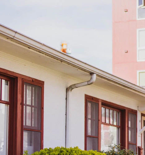 How to Prevent Termite Infestation in Your Gutters?