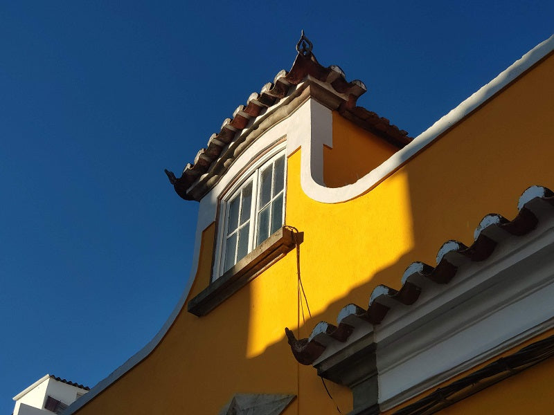 What Are the Pros and Cons of Gutter Guards
